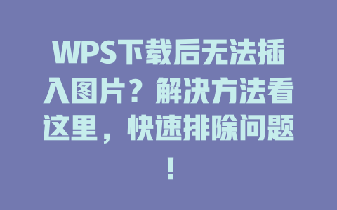 WPS下载后无法插入图片?解决方法看这里,快速排除问题! 一