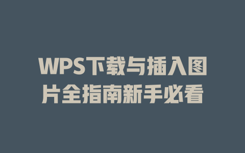 WPS下载与插入图片全指南新手必看 一